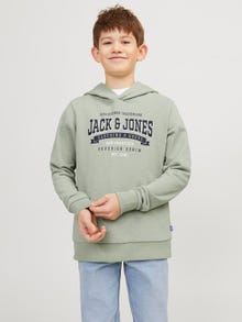 Jack & Jones Printed Hoodie For boys -Desert Sage - 12237420