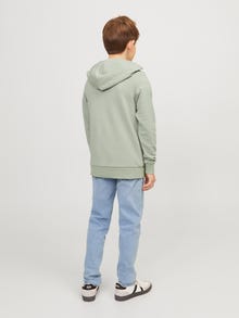 Jack & Jones Printed Hoodie For boys -Desert Sage - 12237420