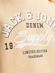 Jack & Jones Printed Hoodie For boys -Apricot Ice  - 12237420