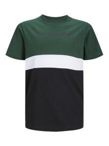 Jack & Jones Poikien Väriblokki T-paita -Mountain View - 12237430