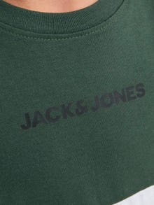 Jack & Jones Colour Blocking T-shirt Für jungs -Mountain View - 12237430