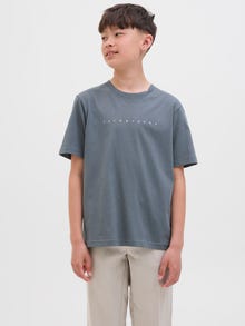 Jack & Jones Camiseta Logotipo Junior -Stormy Weather - 12237435