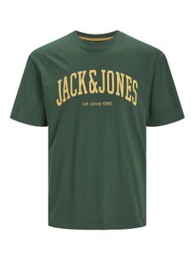 Jack & Jones Spausdintas raštas Marškinėliai For boys -Dark Green - 12237441