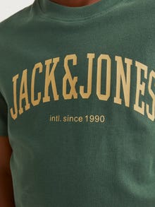 Jack & Jones Spausdintas raštas Marškinėliai For boys -Dark Green - 12237441