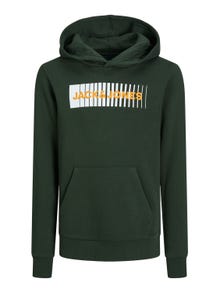 Jack & Jones Logo Hoodie For boys -Mountain View - 12237459