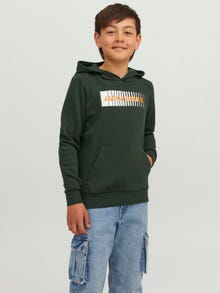 Jack & Jones Logo Hoodie For boys -Mountain View - 12237459