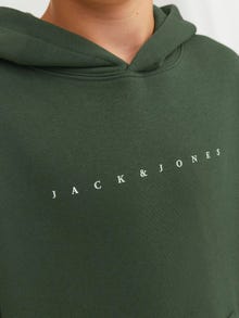 Jack & Jones Logo Hoodie For boys -Mountain View - 12237468