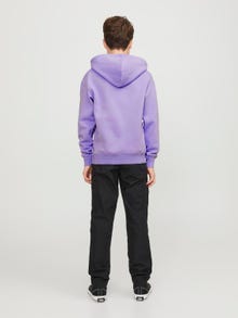 Jack & Jones Logo Hoodie For boys -Purple Rose - 12237468