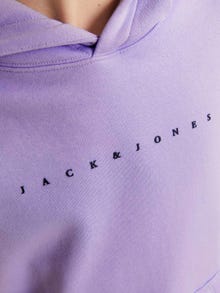 Jack & Jones Logo Hættetrøje Til drenge -Purple Rose - 12237468