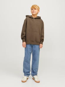 Jack & Jones Logo Kapuutsiga pusa Junior -Canteen - 12237468