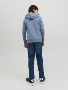 Jack & Jones JJIGLENN JJORIGINAL MF 070 Slim fit jeans For boys -Blue Denim - 12237499