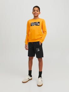 Jack & Jones Regular Fit Prakaito šortai For boys -Black - 12237594