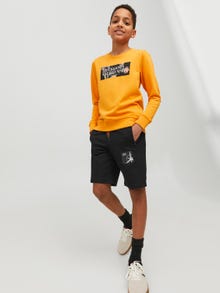 Jack & Jones Regular Fit Calções de malha Para meninos -Black - 12237594