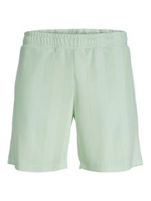 Jack & Jones Calções casuais Regular Fit -Clearly Aqua - 12238149