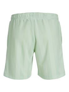 Jack & Jones Calções casuais Regular Fit -Clearly Aqua - 12238149