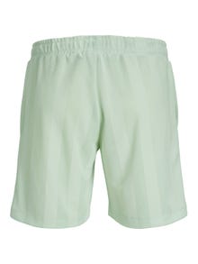 Jack & Jones Regular Fit Avslappnade shorts -Clearly Aqua - 12238149