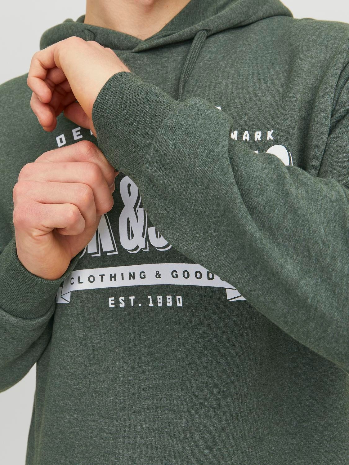 Jack & Jones Hoodie Logo -Mountain View - 12238250