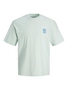 Jack & Jones Enfärgat Rundringning T-shirt -Pale Blue - 12238375