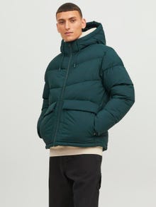 Jack & Jones Dynejakke -Magical Forest - 12238849