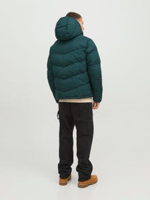 Jack & Jones Dynejakke -Magical Forest - 12238849