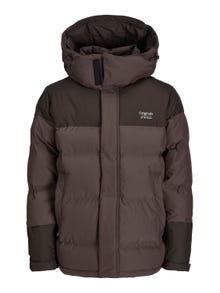 Jack & Jones Chaqueta corta acolchada -Chocolate Brown - 12238881