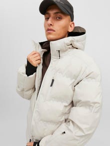 Jack & Jones Puhvis jope -Moonbeam - 12238998