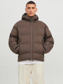 Jack & Jones Puffer jacket -Seal Brown - 12238998