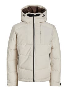 Jack & Jones Doudoune -Moonbeam - 12239001