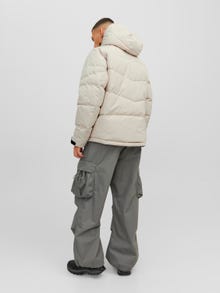 Jack & Jones Péřová bunda -Moonbeam - 12239001