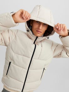 Jack & Jones Puffer jacket -Moonbeam - 12239001