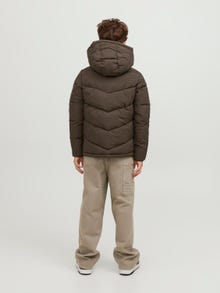 Jack & Jones Puffer jacket For boys -Chocolate Brown - 12239782