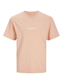 Jack & Jones Trykk O-hals T-skjorte -Canyon Sunset - 12240121