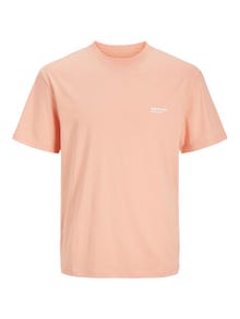 Jack & Jones Potištěný Kruhový výstřih Tričko -Canyon Sunset - 12240122