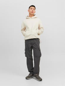 Jack & Jones Bez vzoru Mikina s kapucí -Moonbeam - 12240228