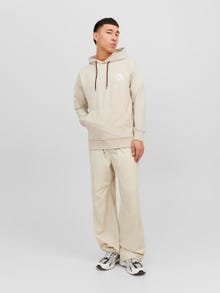 Jack & Jones Nyomott mintás Kapucnis felső -Moonbeam - 12240239