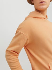 Jack & Jones Sweat à capuche Uni -Pumpkin - 12240572