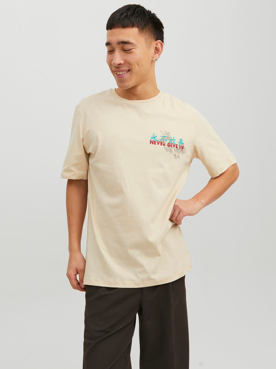 Jack & Jones Gedrukt Ronde hals T-shirt -Birch - 12240935