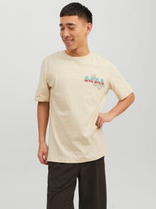 Jack & Jones Gedrukt Ronde hals T-shirt -Birch - 12240935