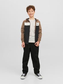 Jack & Jones Spausdintas raštas Marškinėliai For boys -Moonbeam - 12240968