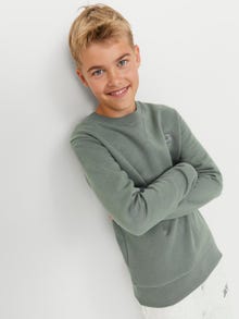 Jack & Jones Logo Sweatshirt met ronde hals Voor jongens -Agave Green - 12240997