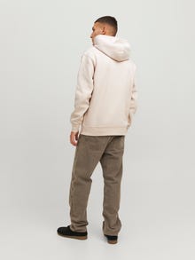 Jack & Jones Spausdintas raštas Džemperis -Moonbeam - 12241687