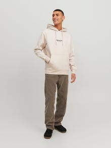 Jack & Jones Spausdintas raštas Džemperis -Moonbeam - 12241687