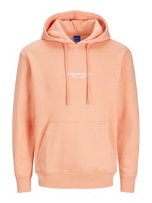 Jack & Jones Hoodie Estampar -Canyon Sunset - 12241687