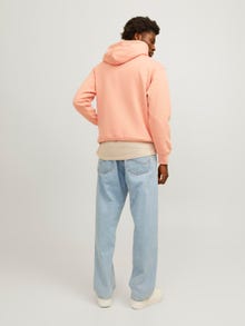 Jack & Jones Painettu Huppari -Canyon Sunset - 12241687