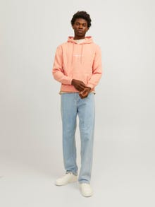 Jack & Jones Nyomott mintás Kapucnis felső -Canyon Sunset - 12241687