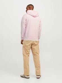 Jack & Jones Gedrukt Hoodie -Fairy Tale - 12241687