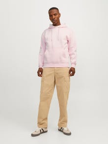 Jack & Jones Gedrukt Hoodie -Fairy Tale - 12241687