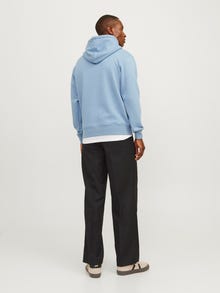 Jack & Jones Sweat à capuche Imprimé -Mountain Spring - 12241687