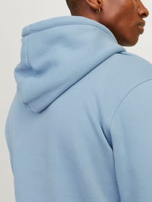 Jack & Jones Sweat à capuche Imprimé -Mountain Spring - 12241687