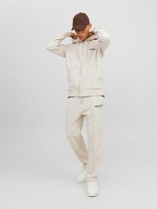 Jack & Jones Spausdintas raštas Užtrauktukas su gobtuvu -Moonbeam - 12241691